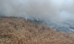 Edirne'de 20 dekarlık buğday ekili alan yandı