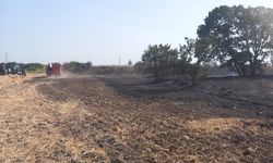 Edirne'de anız alanından ağaçlık bölgeye sıçrayan yangın söndürüldü