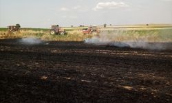 Edirne'de çıkan yangında 250 saman balyası zarar gördü