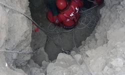 Eskişehir'de 5 metrelik kuyuya düşen köpeği AKUT ekipleri kurtardı