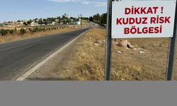 GÜNCELLEME 2 - Şanlıurfa'da 2 mahalle kuduz nedeniyle karantinaya alındı