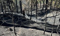 GÜNCELLEME - Bursa'da ormanlık alanda çıkan yangın kontrol altına alındı