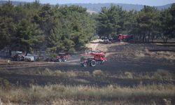 GÜNCELLEME - Çanakkale'de ormanlık alanda etkili olan yangın söndürüldü