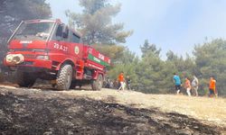 GÜNCELLEME - Denizli'nin Buldan ilçesinde çıkan orman yangını kontrol altına alındı