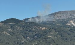 GÜNCELLEME - Manisa Spil Dağı'nda çıkan orman yangını kontrol altına alındı
