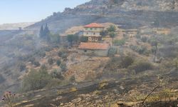 GÜNCELLEME - Manisa'da tarım alanından ormana sıçrayan yangına müdahale ediliyor