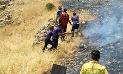 Mardin'de çıkan örtü yangını ekiplerce kontrol altına alındı