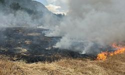 Muğla'da zirai alanda çıkan yangın söndürüldü