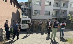 Sakarya'da göçmen kaçakçılığı operasyonunda yakalanan 13 şüpheli tutuklandı