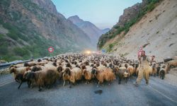 Siirtli göçerler, günler süren yolculuğun ardından Hakkari'ye ulaştı