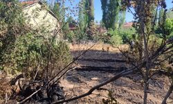 Ulaş'ta otluk alanda çıkan yangın söndürüldü