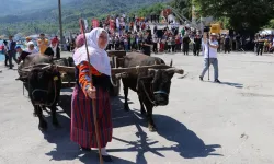 İnebolu'dan Kastamonu'ya 95 kilometrelik Atatürk ve İstiklal Yolu Yürüyüşü sürüyor