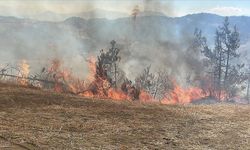 Kahramanmaraş'ta çıkan yangında on hektar makilik alan zarar gördü