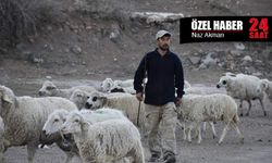Çoban krizi artıyor, hayvan varlığı azalıyor