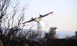 GÜNCELLEME - Ayvacık'ın Behram köyünde çıkan yangına müdahale ediliyor