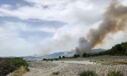 Muğla'da çıkan orman yangını yerleşim yerlerine ilerliyor