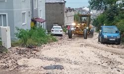 Ordu'nun Fatsa ilçesinde şiddetli yağış su baskınlarına neden oldu