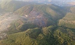 CHP'li Adem: Bugüne kadar 34 milyon metrekare ormanlık alan yok edildi