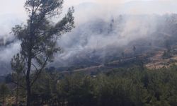 Bornova'daki yangın Manisa’ya ilerledi