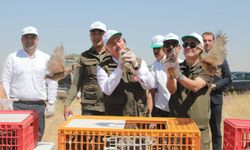 Aksaray'da 300 kınalı keklik doğaya bırakıldı