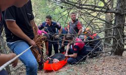 Amasya'da dere yatağına düşen kişiyi AFAD ve itfaiye ekipleri kurtardı