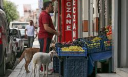 Bağlama ustasının yoldaşı, kuzu, köpek ve oğlak oldu