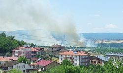 Bolu'da sazlık alanda çıkan yangın söndürüldü