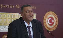 CHP'li Gürer, sahipsiz hayvanlara yönelik kanun teklifinin geri çekilmesini istedi