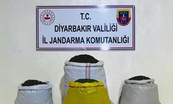 Diyarbakır'da 170 bin 500 kök kenevir ve 52 kilogram esrar ele geçirildi