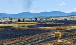 Eskişehir'de tarım arazisinde çıkan yangın söndürüldü