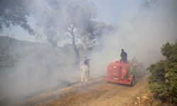 Fethiye'de zeytinlikten ormanlık alana sıçrayan yangın söndürüldü