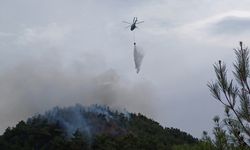 GÜNCELLEME - Karabük'te ormanlık alanda çıkan yangın kontrol altına alındı