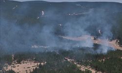 GÜNCELLEME - Kütahya'da ormanlık alanda çıkan yangın kontrol altına alındı
