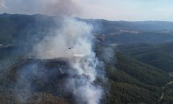 GÜNCELLEME - Kütahya'da ormanlık alanda çıkan yangına müdahale ediliyor