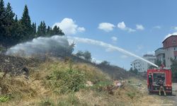 GÜNCELLEME - Sancaktepe'de ormanlık alana sıçrayan yangın söndürüldü