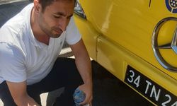 İstanbul'da İETT otobüsüne çarparak yaralanan martı, şoför tarafından kurtarıldı