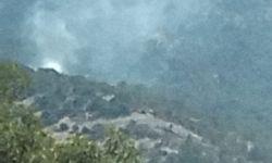 İzmir'de ormanlık alanda çıkan yangın kontrol altına alındı