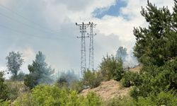 Kastamonu'da çıkan orman yangınına müdahale ediliyor