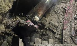 Konya'da çukura düşen hayvanlar itfaiye ekiplerince kurtarıldı