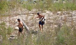 Mersin'de nehirde mahsur kalan yaralı leyleği itfaiye ekipleri kurtardı