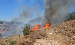 Muğla'da zirai alanda çıkan yangın ormana sıçramadan söndürüldü