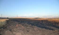 Sivas'ta çıkan yangında 40 dönüm ekili alan zarar gördü