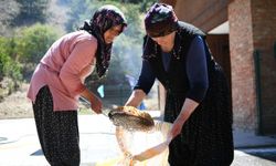 Üreğil Millet Bahçesi'nde bir ton bulgur kaynatıldı