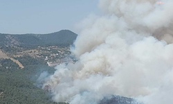 İzmir Bornova'da orman yangını: Ekiplerin müdahalesi sürüyor