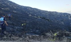 Vali Elban’dan Çeşme yangını açıklaması: Üç kişi hayatını kaybetti, dört kişi gözaltında