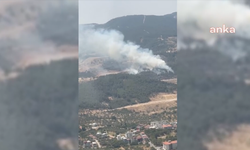 Soma'da orman yangını: Müdahale sürüyor