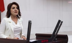 Gülcan Kış: İçinde merhamet barındırmayan bu yasayı sessiz sedasız geçirmek istiyorlar