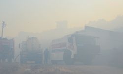 Dikili'de yangın devam ediyor: Çandarlı-Denizköy kara yolu trafiğe kapatıldı