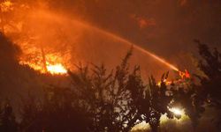 İzmir'de çıkan orman yangınına ilişkin bir kişi tutuklandı