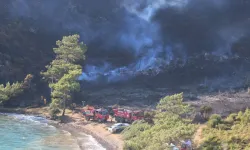 Marmaris'te çıkan orman yangınına ilişkin 3 kişi gözaltına alındı
